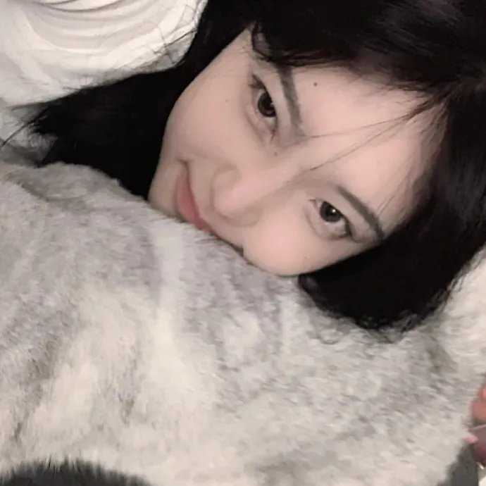 哥斯拉对美加洛海报