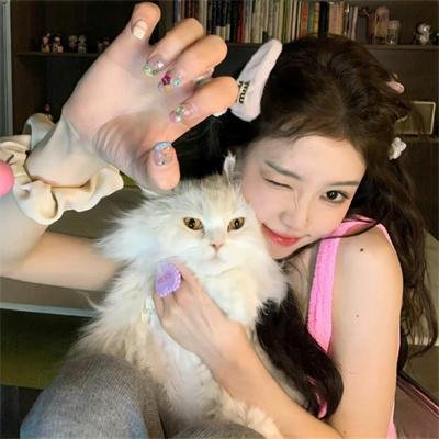 无敌的布莱特·本杰明海报